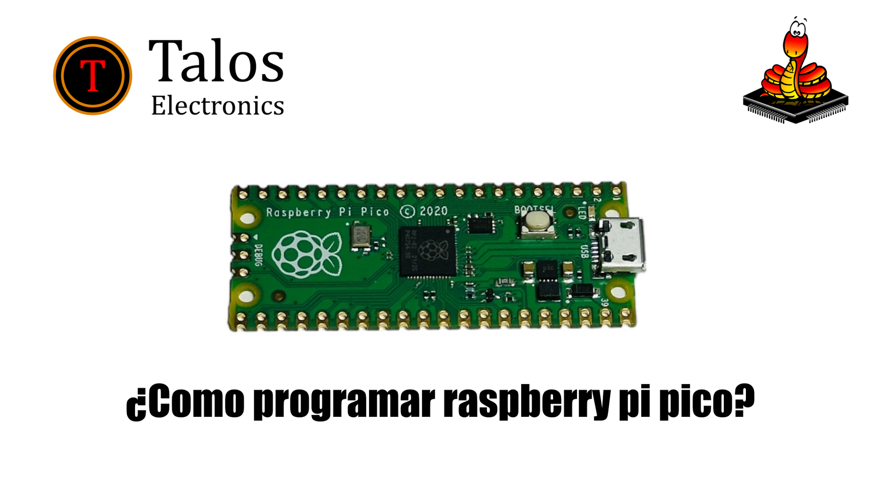 ¿Como programar raspberry pi pico? — Talos Electronics