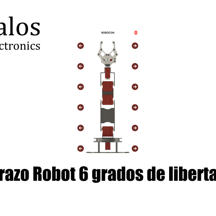 Brazo Robot 6 grados